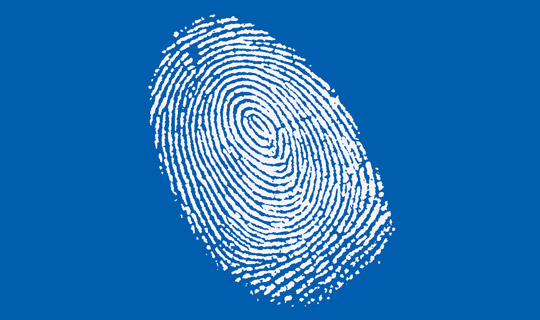 Biometrijska putovnica
